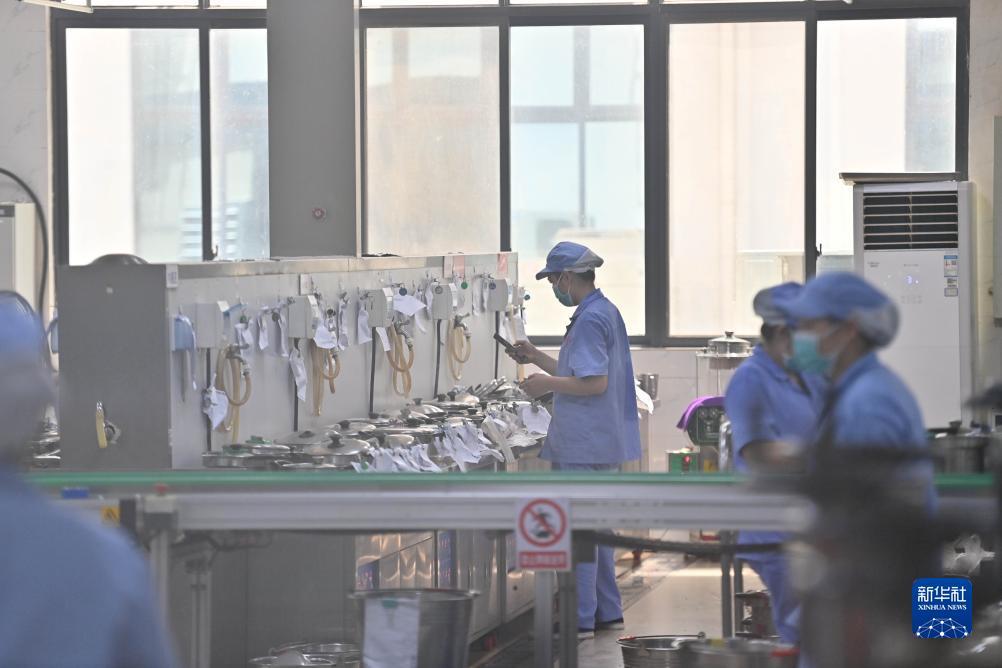 银河奇异果电脑版下载